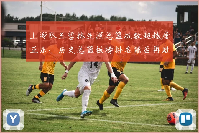 上海队王哲林生涯总篮板数超越唐正东，历史总篮板榜排名能否再进一步？